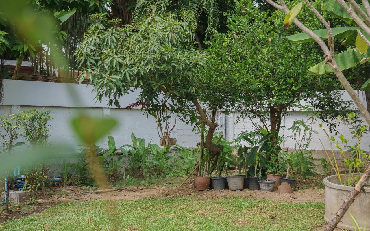 Him Dara Homestay Chiang Mai Dış mekan fotoğraf